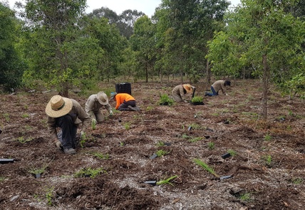 Revegetation Works